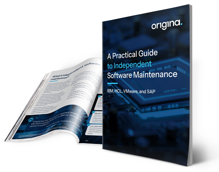 A Practical Guide to Independent Software Maintenance