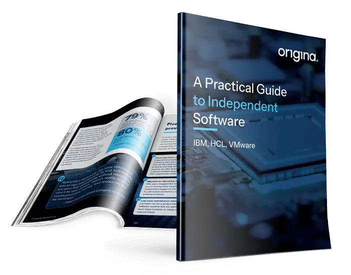 A Practical Guide to Independent Software Maintenance