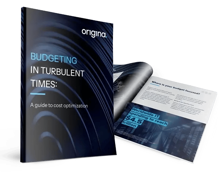 Budgeting in Turbulent Times: A Guide to Cost Optimization