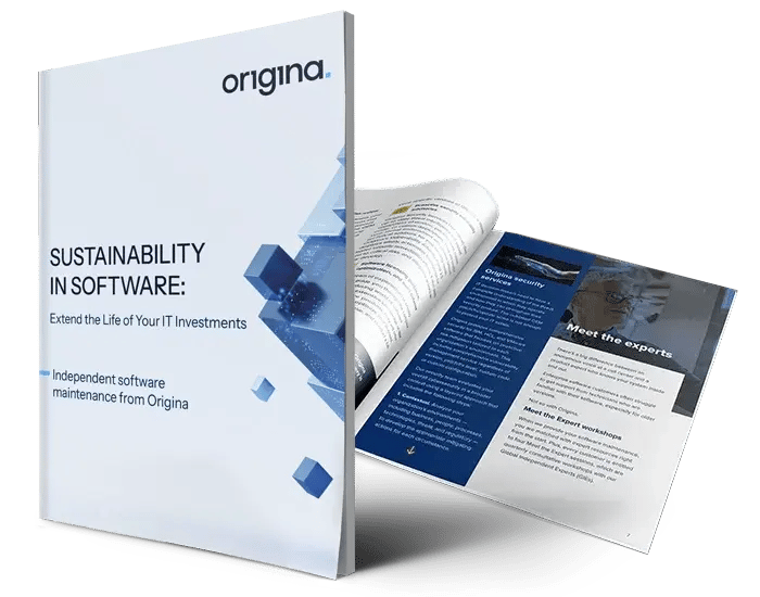Sustainability in Software: Extend the Life of Your IT Investments