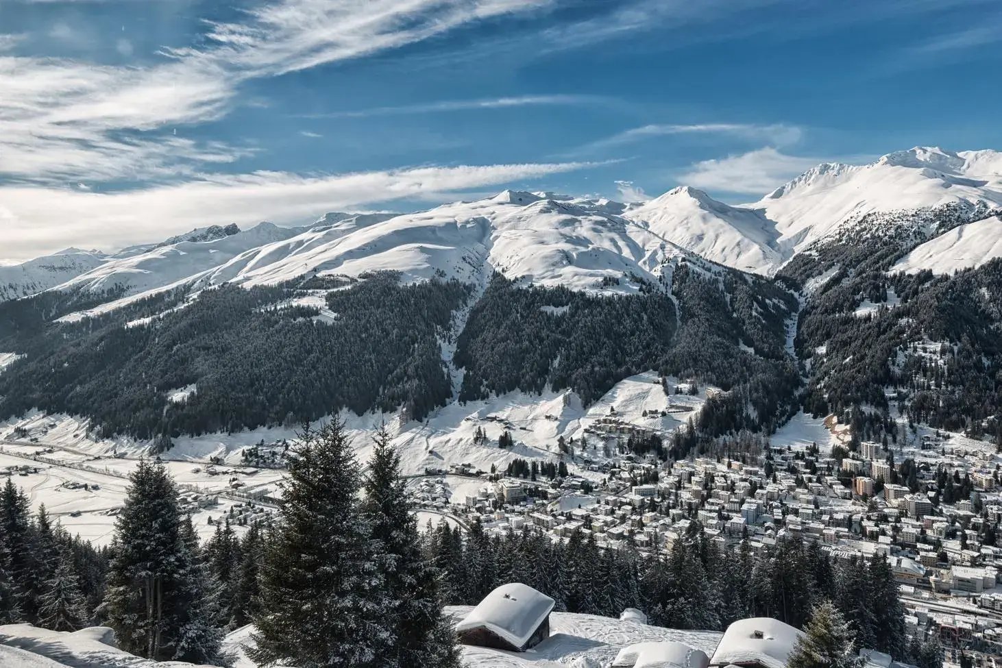 forbes-davos-insights-tomas