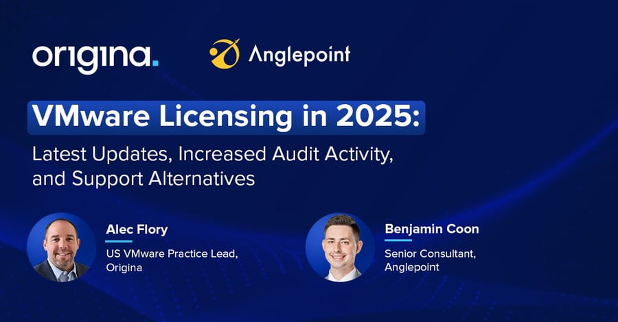 VMware Licensing in 2025: Latest Updates, Increased Audit Activity, and Support Alternatives