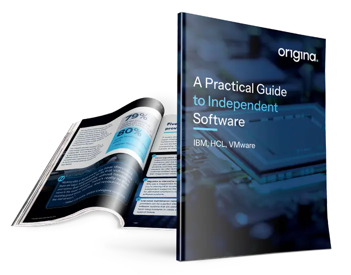 A-Practical-Guide-to-Independent-Software-Maintenance